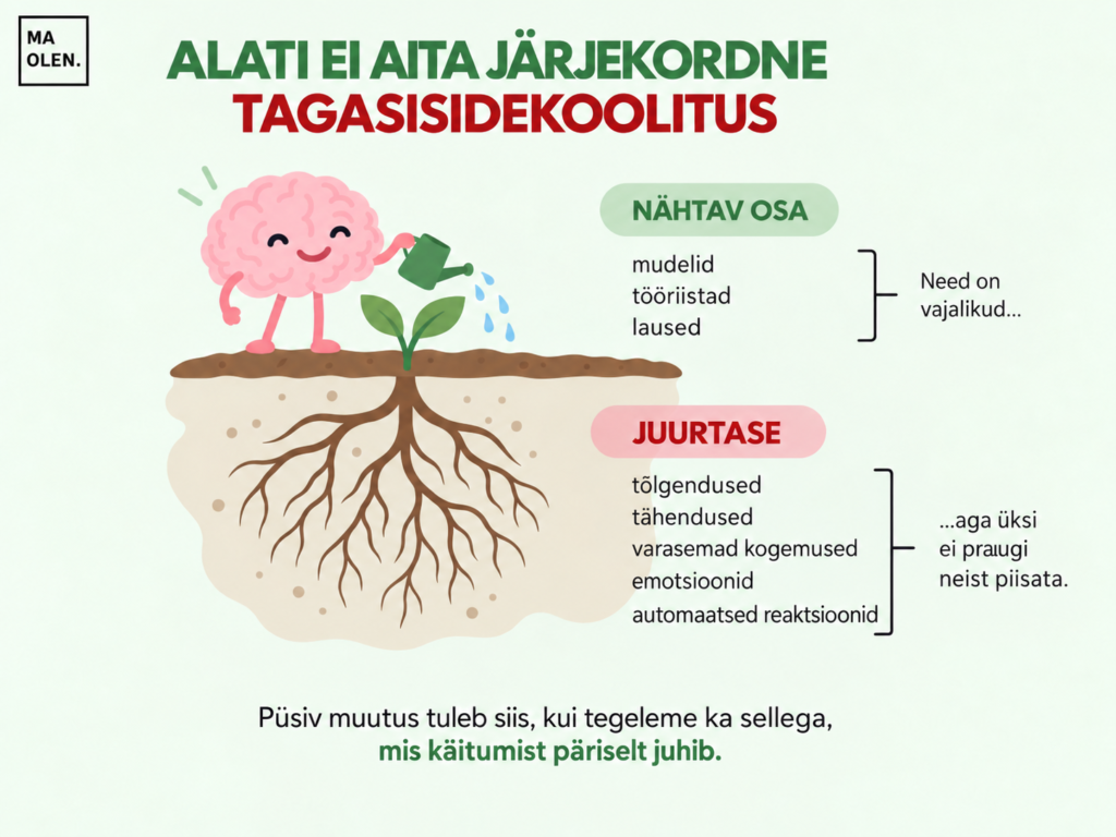 tagasiside andmise koolitus